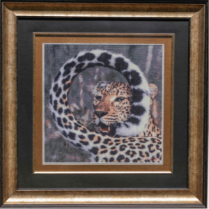 Leopard CSI(A)2005