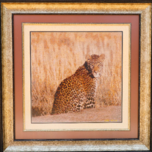 Leopard CSI(A)2007