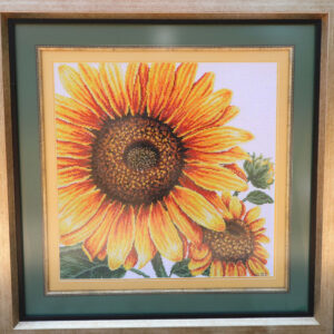 Sunflower CSI 800
