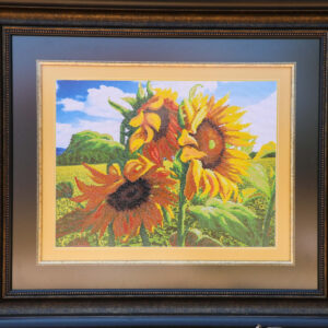 Sunflower CSI 803
